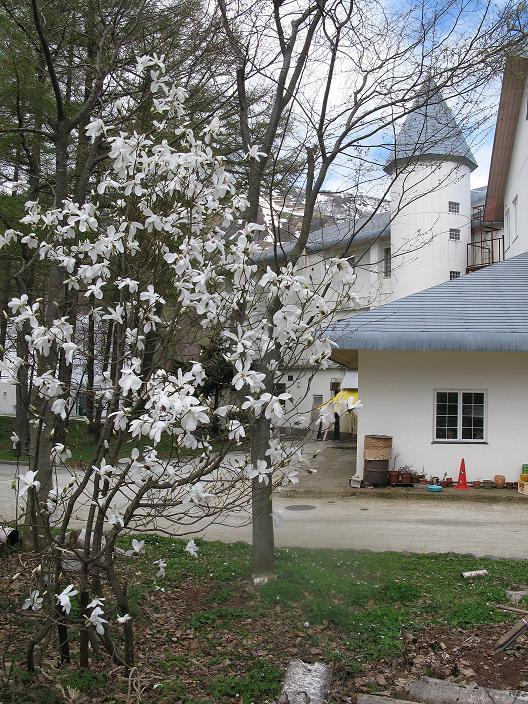 فندق يوزاوافي  Grindelwald المظهر الخارجي الصورة